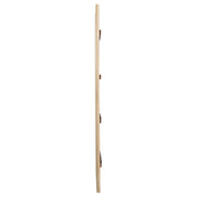 Solano 80-inch Full Length Floor Mirror Weathered Mango - detail 4