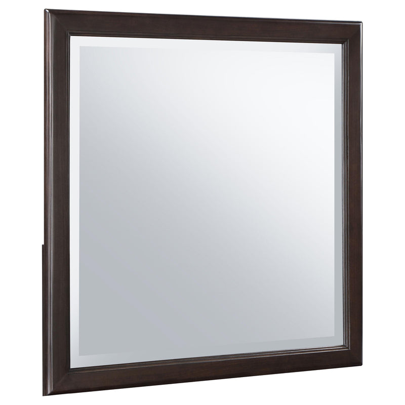 Emberlyn Dresser Mirror Brown - alternate view
