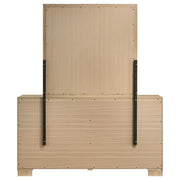 Arielle Dresser and Mirror Set with Mixed Hardware Light Oak - detail 5