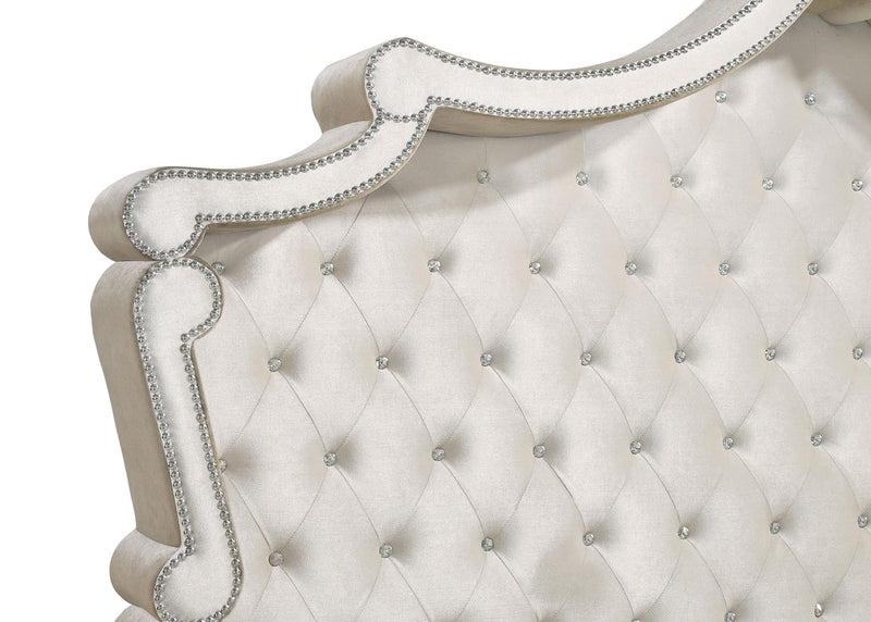Antonella Upholstered Eastern King Panel Bed Ivory and Camel - detail 3