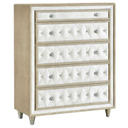 Antonella 5-piece Queen Bedroom Set Ivory - detail 7