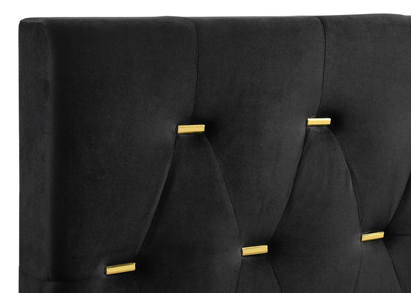 Kendall Upholstered Queen Panel Bed Black - detail 5