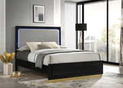 Caraway Wood Queen LED Panel Bed Black