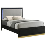 Caraway Wood Queen LED Panel Bed Black - detail 3