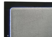 Caraway Wood Queen LED Panel Bed Black - detail 5