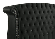 Barzini Upholstered Queen Wingback Bed Black - detail 7