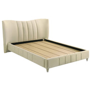 Evelyn Upholstered Queen Panel Platform Bed Ivory - detail 3
