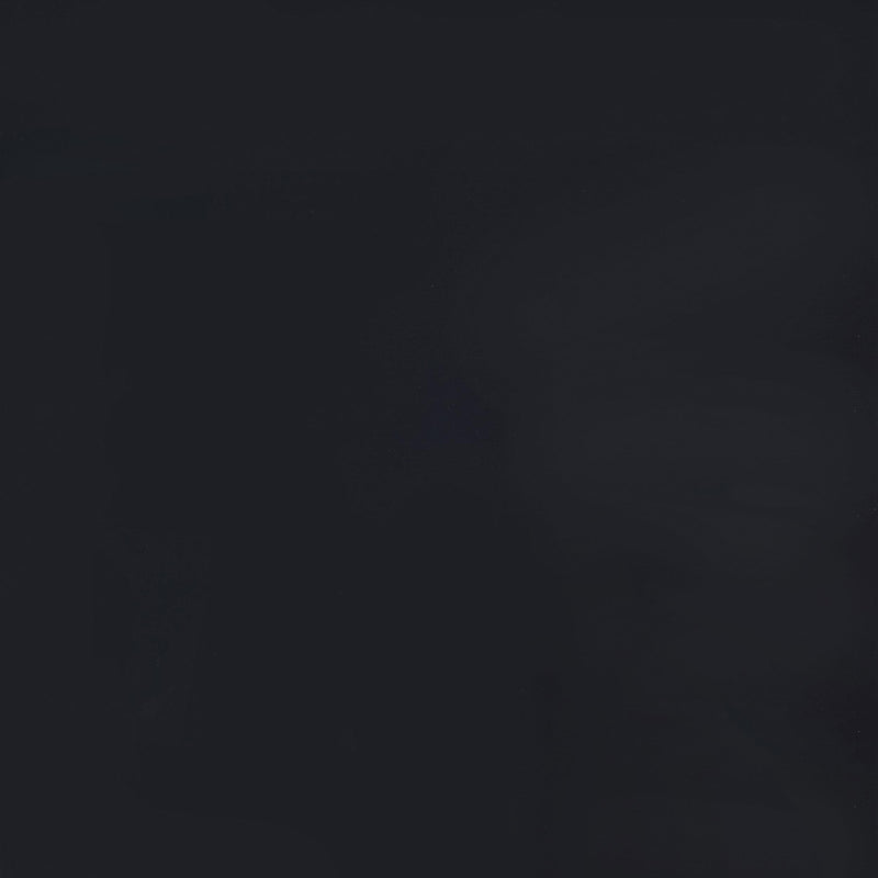 Roberto 4-Panel Room Divider Folding Shoji Screen