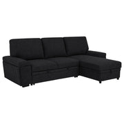 Demko Sleeper Sectional Sofa with Speaker and Storage Chaise Black - detail 4
