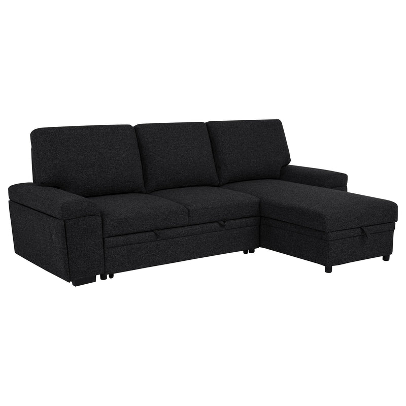 Demko Sleeper Sectional Sofa with Speaker and Storage Chaise Black - detail 4