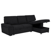 Demko Sleeper Sectional Sofa with Speaker and Storage Chaise Black - detail 5