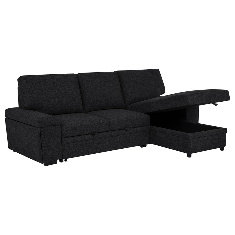 Demko Sleeper Sectional Sofa with Speaker and Storage Chaise Black - detail 5