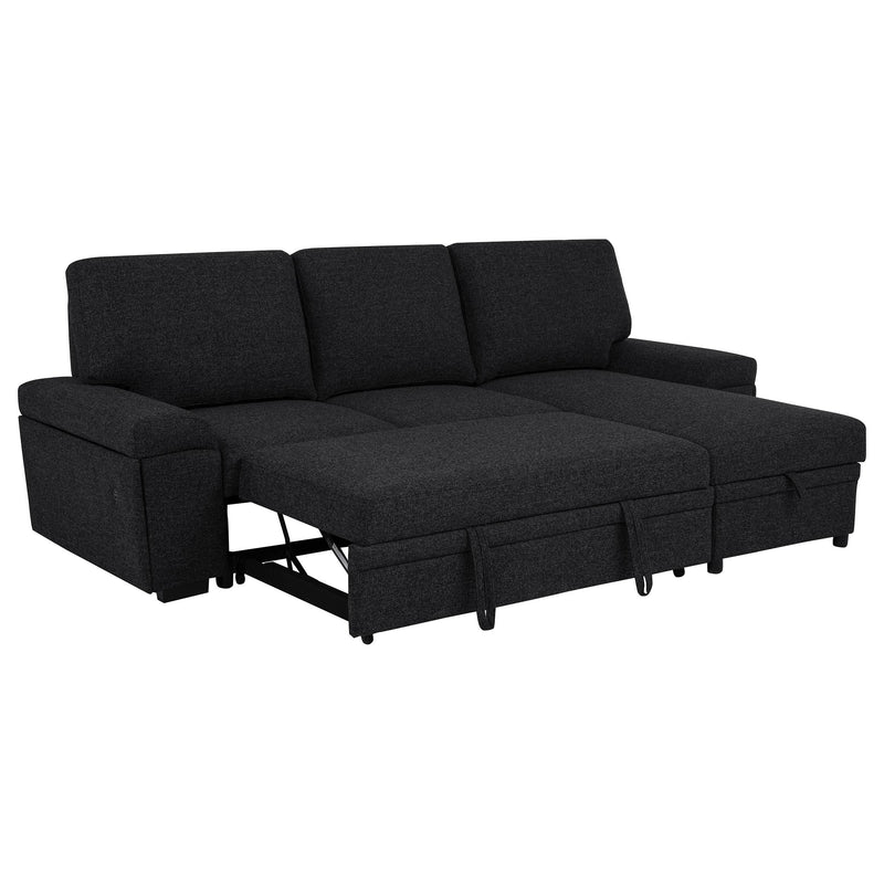 Demko Sleeper Sectional Sofa with Speaker and Storage Chaise Black - detail 6