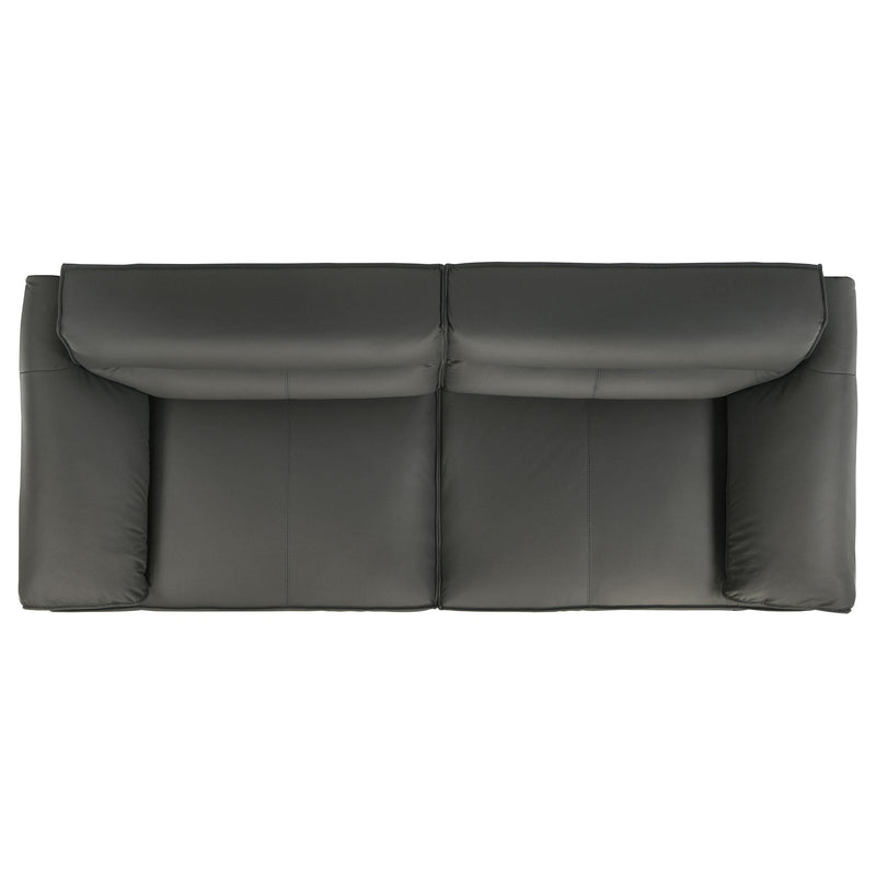 Buxton 2-piece Leather Upholstered Sofa Set Graphite - detail 7