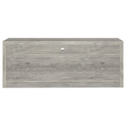 Burke 3-piece 59-inch TV Entertainment Center Grey Driftwood - detail 7