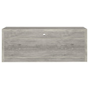 Burke 2-drawer Engineered Wood 59-inch TV Stand Grey Driftwood - detail 7
