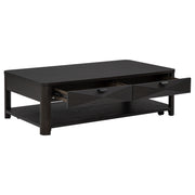 Marcelo Wood Coffee Table with 2 Drawers and Shelf Coffee - detail 3