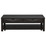 Marcelo Wood Coffee Table with 2 Drawers and Shelf Coffee - detail 4