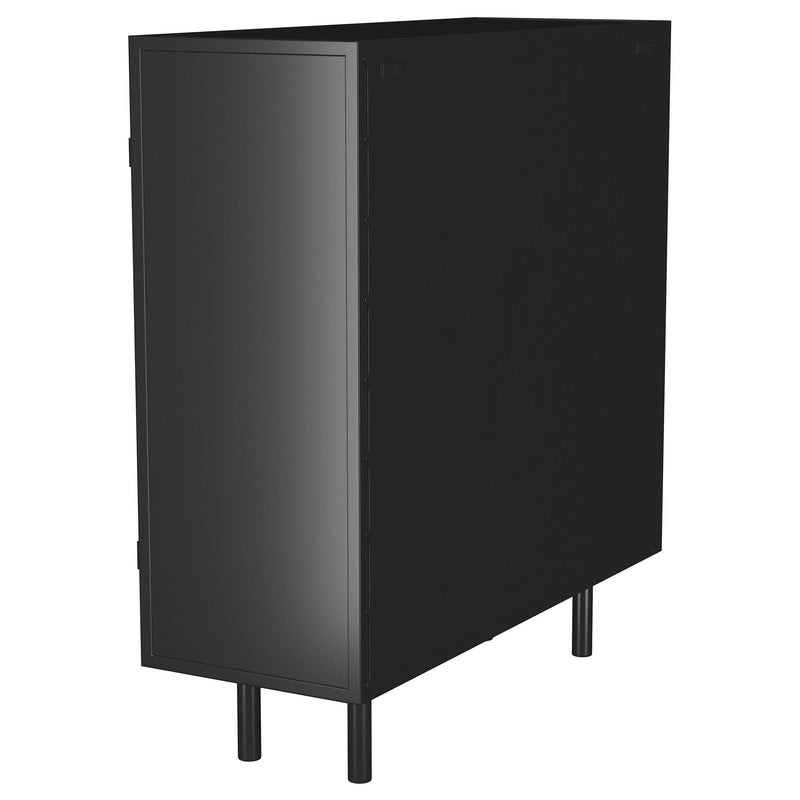 Dalia 2-door Accent Storage Cabinet with Shelving