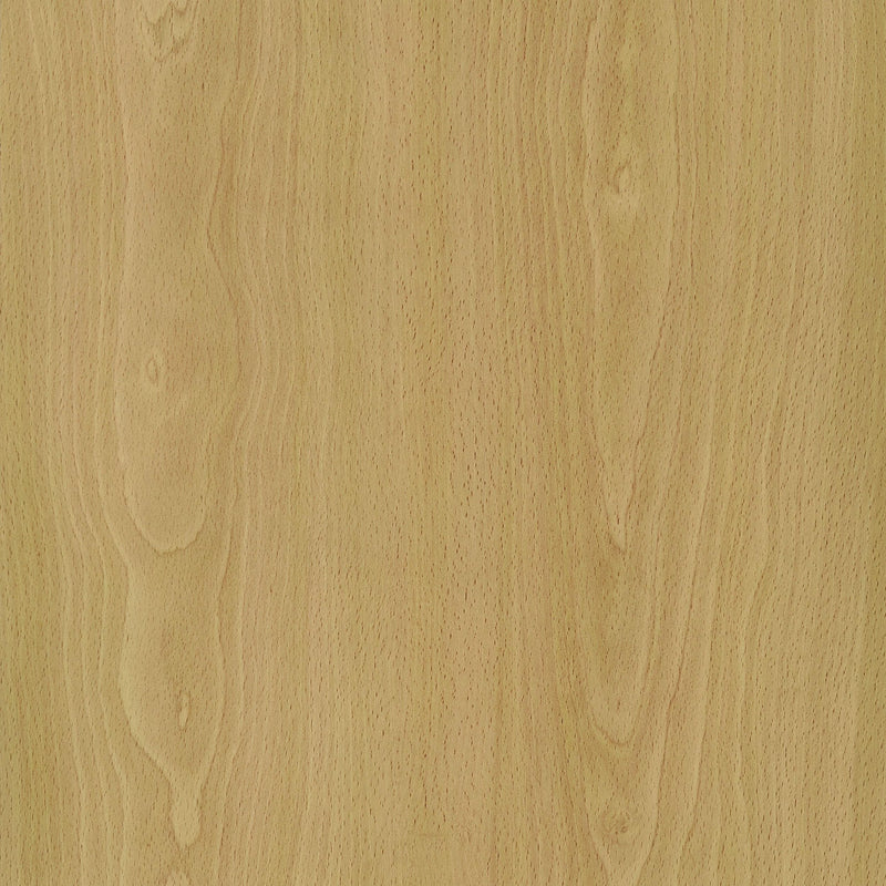 Mattison 4-Panel Room Divider Folding Shoji Screen