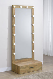 Spector 1-drawer Lighted Full-Length Floor Mirror Mango - alternate view