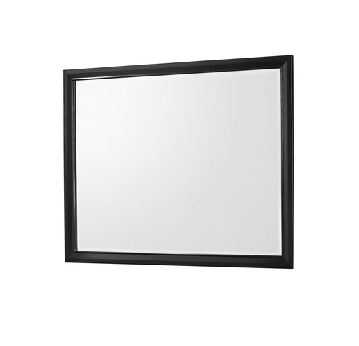 Crownmark Micah Mirror