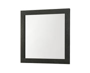Crownmark Cadence Mirror - Black Gold