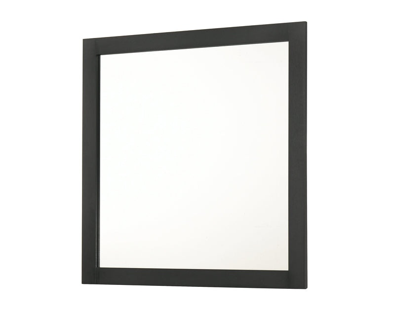 Crownmark Nemy Mirror