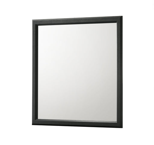 Crownmark Charlie Mirror