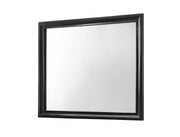 Crownmark Regata Mirror - Black/Silver